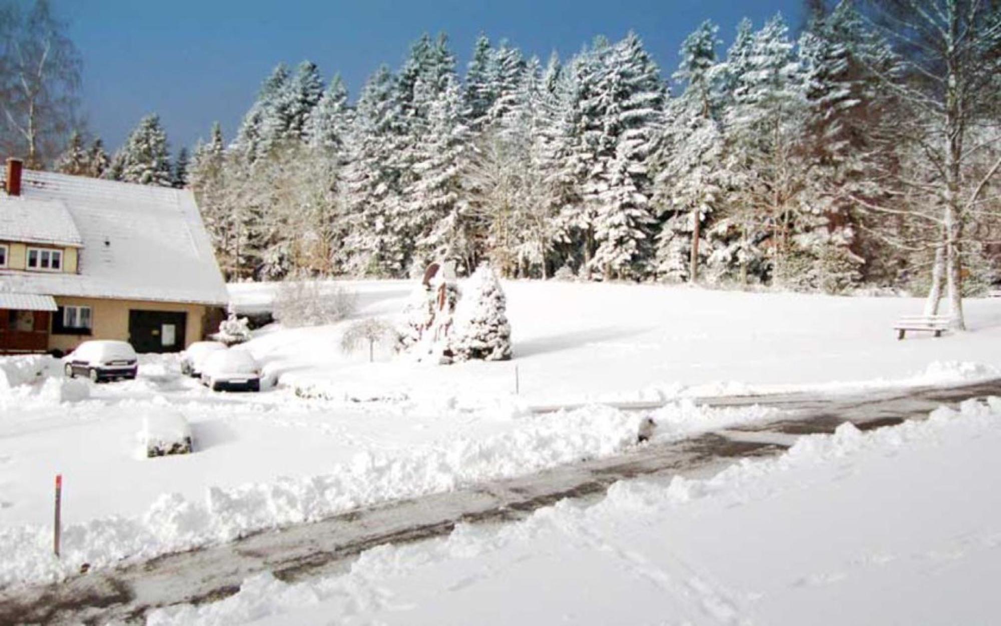Äckerhof Villa Wolfach Exteriör bild
